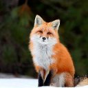 ���� �����, ������ - ��������� 13 ������ 2026 � ������ ���� ����������