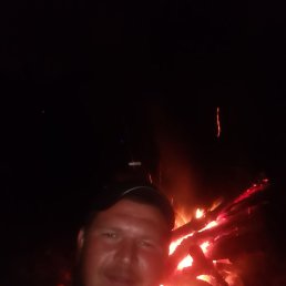, 31, 