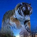 ���� �������, ��������, 51 ��� - ��������� 29 ������ 2024 � ������ ���� ����������