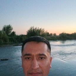 , 40, 