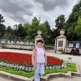 , 53, 