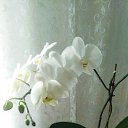 ���� ��������, �������, 62 ���� - ��������� 16 ������ 2024 � ������ ���� ����������