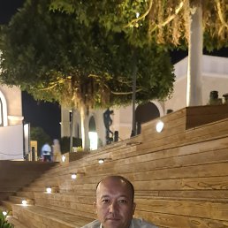 ���� ����, �����, 43 ���� - ��������� 7 ������ 2025