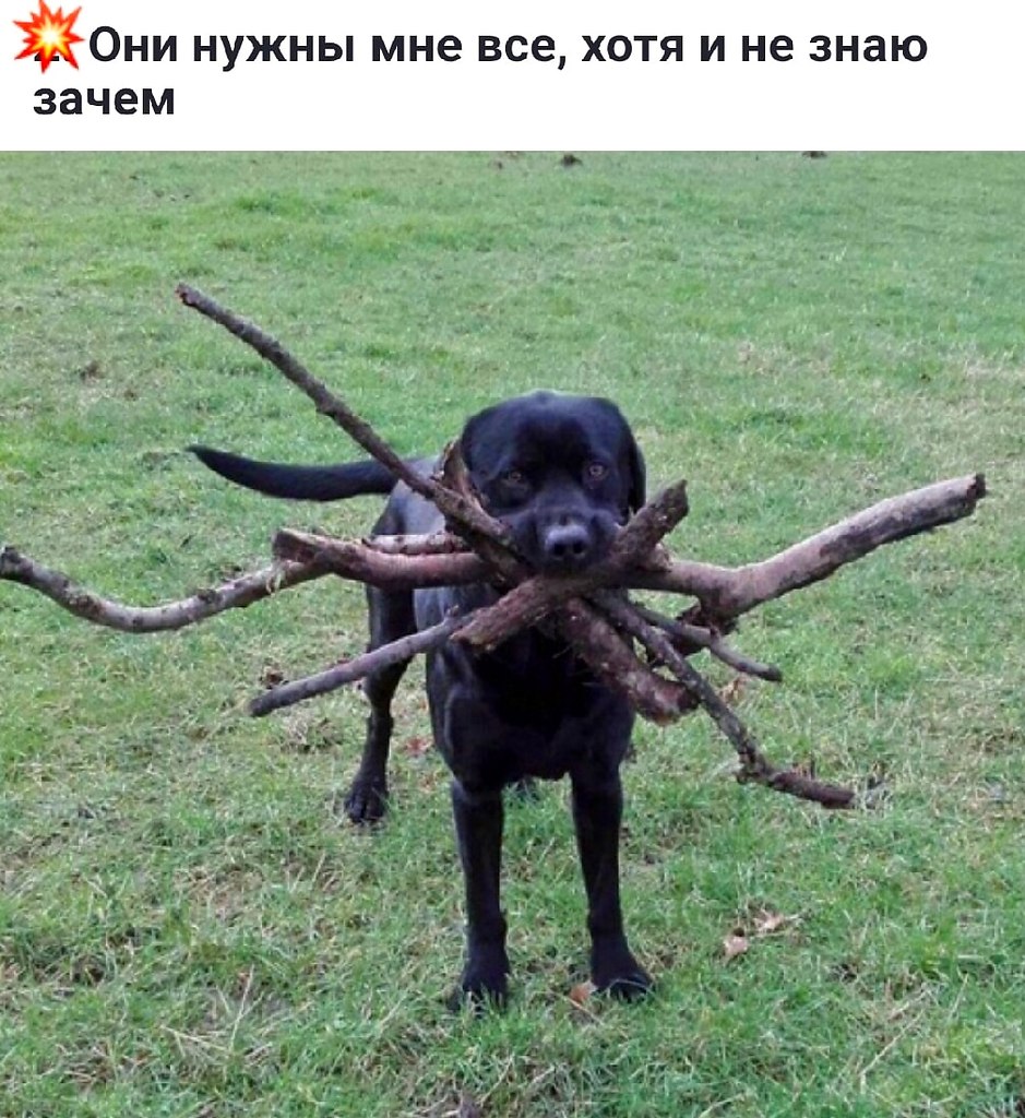 ПреЛЮДИи чувств - 11 октября 2025 в 23:25