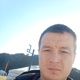 ������, 37 ���, ������