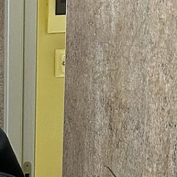 ������, �����������, 19 ���