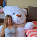 ���� ����, ������ - ��������� 12 ������� 2026 � ������ ���� ����������