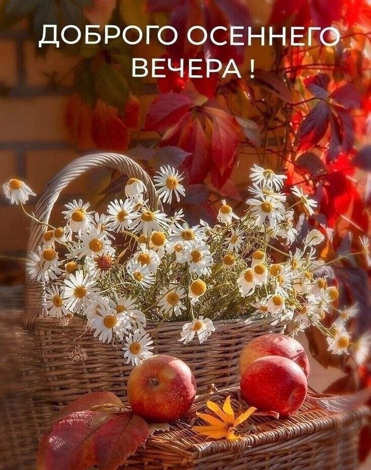   ,    . - 7  2025  18:16