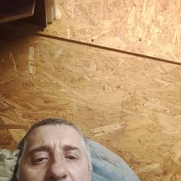 ����, 51 ���, �����