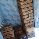 ���� ��������, ������, 45 ��� - ��������� 10 ������ 2023