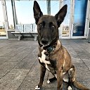 ���� Moonlight, ��������� - ��������� 20 ����� 2026 � ������ ������ ��������