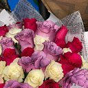 ���� Svet, ���������, 57 ��� - ��������� 12 ������� 2023 � ������ ���� ����������