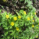  , , 60  -  23  2025    2025 .  ... 9 