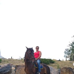 ���������, ���������, 65 ���