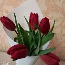 ���� �����, �����, 64 ���� - ��������� 22 ������� 2024 � ������ ���� ����������