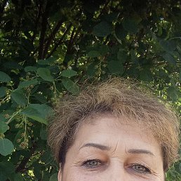 , 55, 