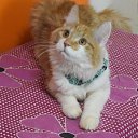 ���� �����, ������, 60 ��� - ��������� 2 ������� 2025