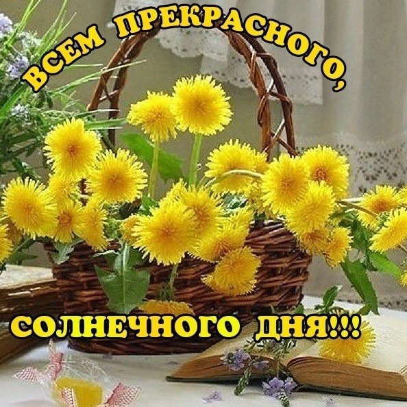  - 17  2025  16:40