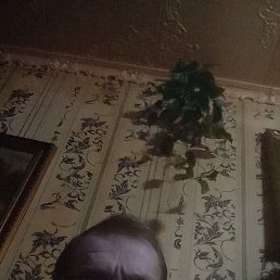 , 53, 