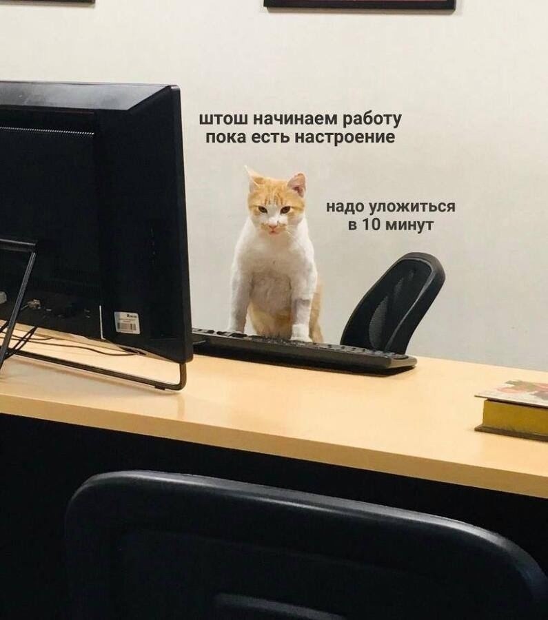 5 минут в день мем Всем отличного рабочего четверга, кировчане