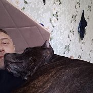 ���������, 41 ���, ������