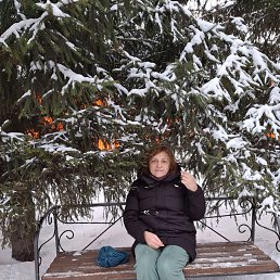 , 61, 