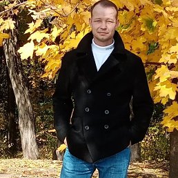 ���� �������, ������-��-����, 44 ���� - ��������� 27 ����� 2026