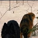 ���� Sergey, �������, 46 ��� - ��������� 29 ������ 2024