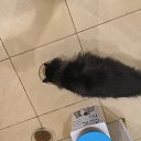 ���� Olegus, �����-���������, 38 ��� - ��������� 30 ������ 2023