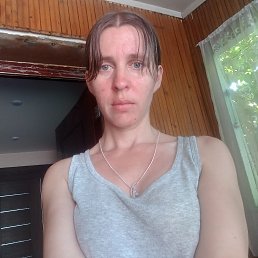 , 29, 