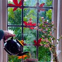���� �������, ����������� - ��������� 12 ������ 2023 � ������ ���� ����������