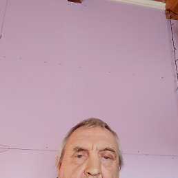 ���� ������, ���������, 62 ���� - ��������� 15 ������ 2026