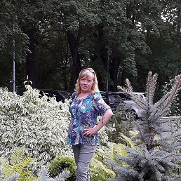 ����, ������������, 50 ���