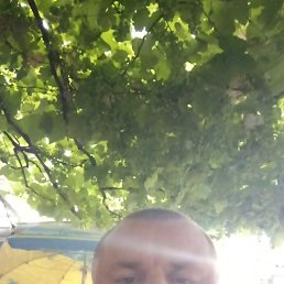 ���� ��������, �����������, 44 ���� - ��������� 3 ������� 2024