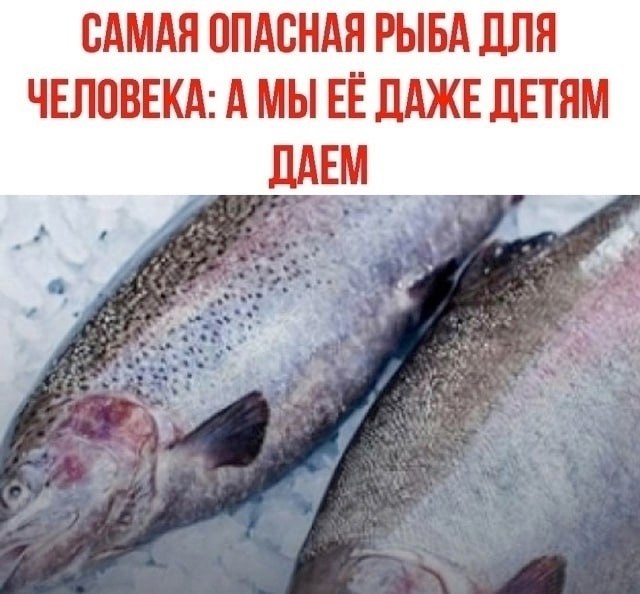 ����� ������� ���� ��� ��������: � �� � ���� ����� ���. ��� ��������� ��������, �������� � ����� ...
