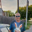���� ������, ������, 54 ���� - ��������� 30 ���� 2026 � ������ ������
