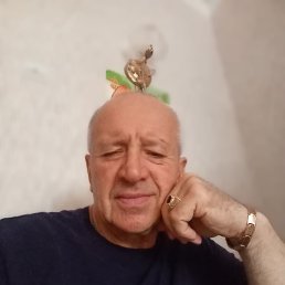 , 61 , 