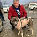 ���� ��������, ��������, 60 ��� - ��������� 29 ������ 2026