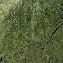 ���� �����, ������, 65 ��� - ��������� 10 ������� 2025
