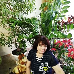 �����, ������, 64 ����