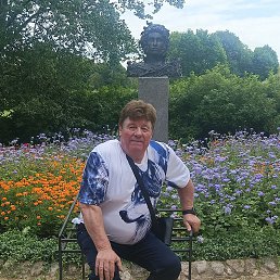  , 65 , 