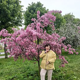 , 33, 