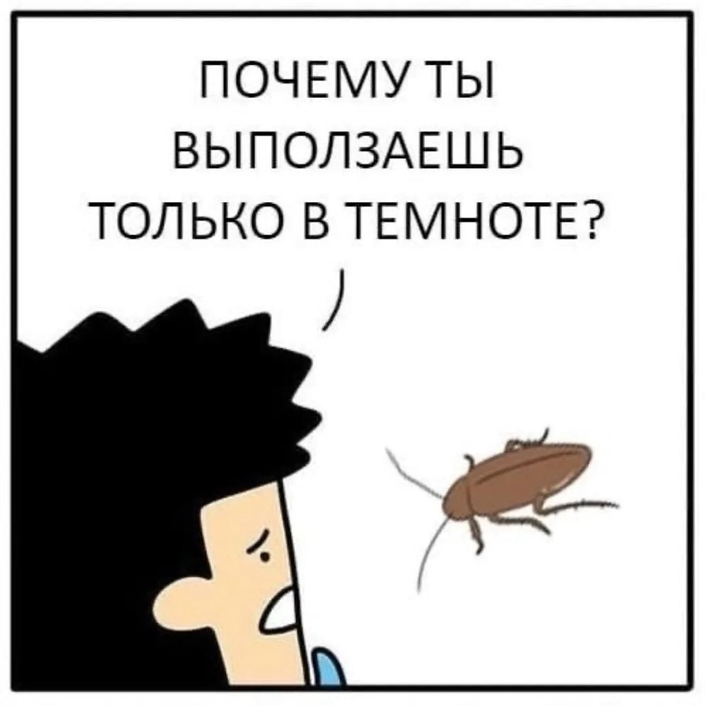 ... - 3  2025  21:36 - 2