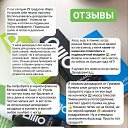 ���� ����, ���������, 49 ��� - ��������� 2 ������ 2026 � ������ ���� ����������