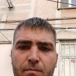 , 33, 