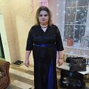 ���� �������, �����������, 43 ���� - ��������� 11 ������ 2026 � ������ ���� ����������
