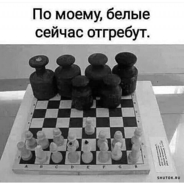   - 6  2024  18:56