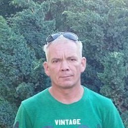 ������, �����, 44 ����