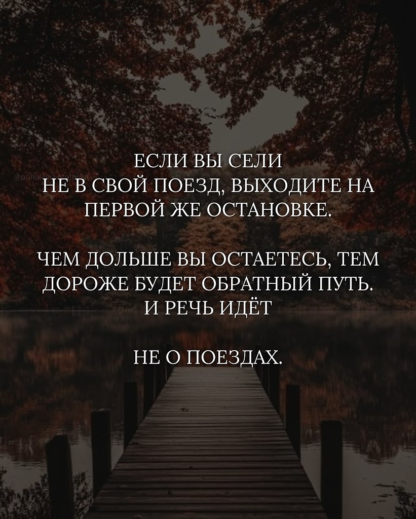   - 12  2025  15:33 - 2
