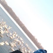  , 37 , 